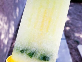 Boozy Pickle Keto Ice Pops