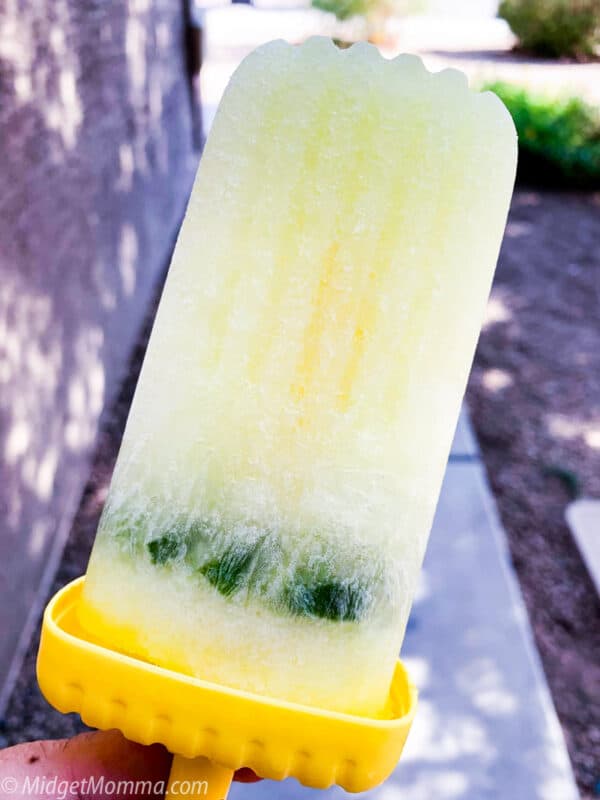 Boozy Pickle Keto Ice Pops