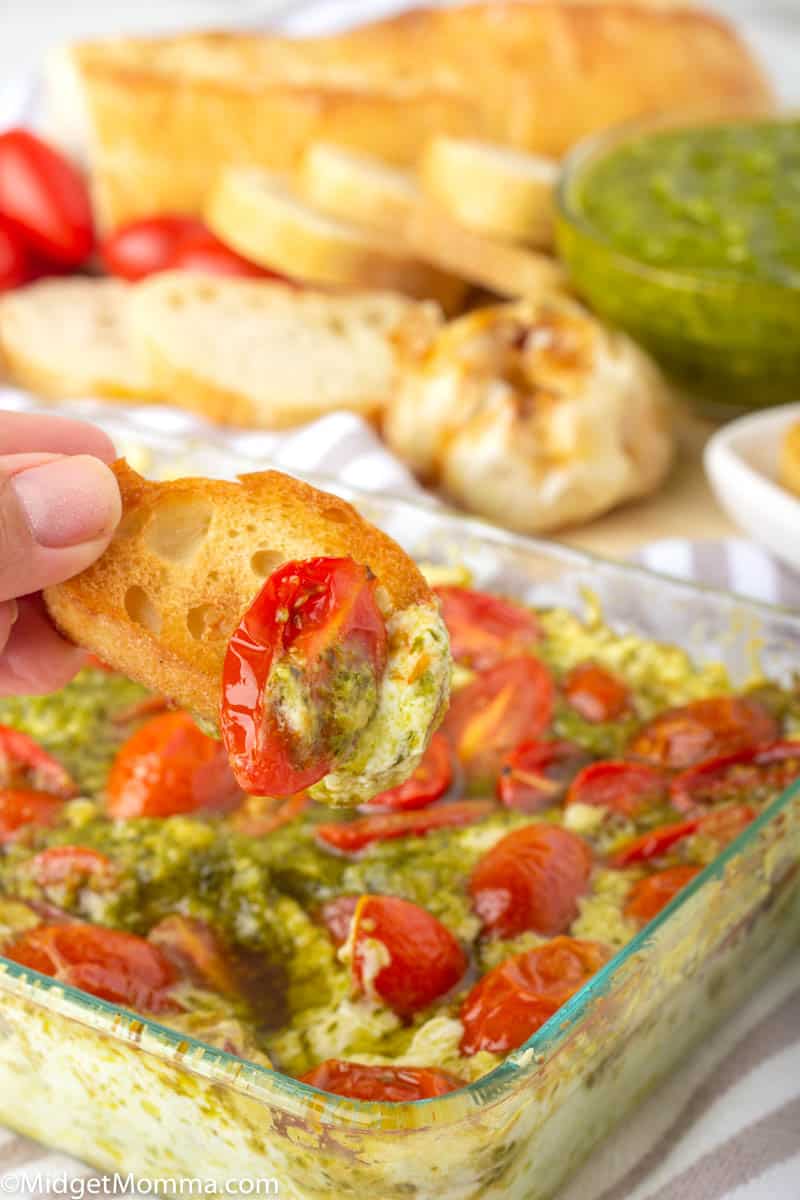 Pesto Dip Recipe