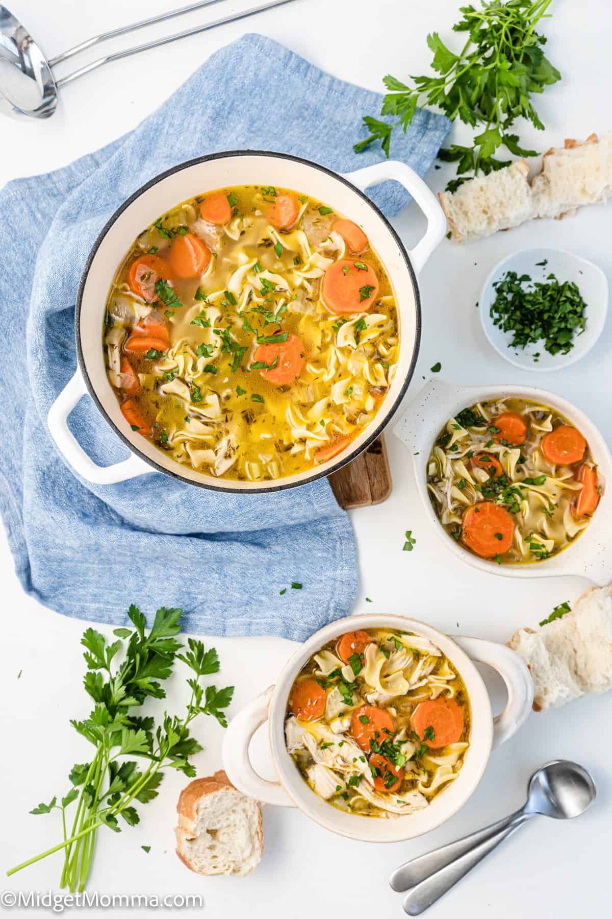 homemade chicken noodle soup in a pot with 2 bowls of soup