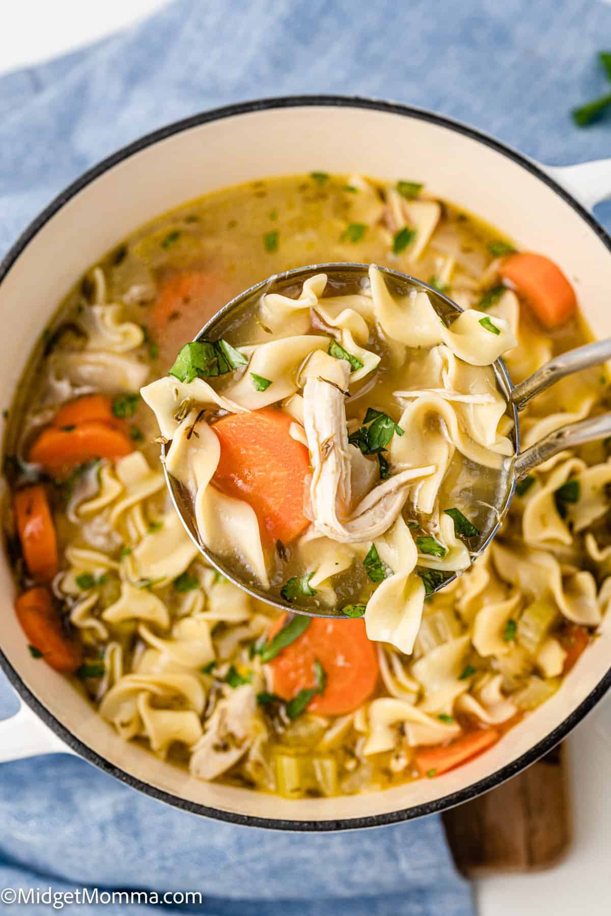 overhead photo of homemade chicken noodle soup in the pot