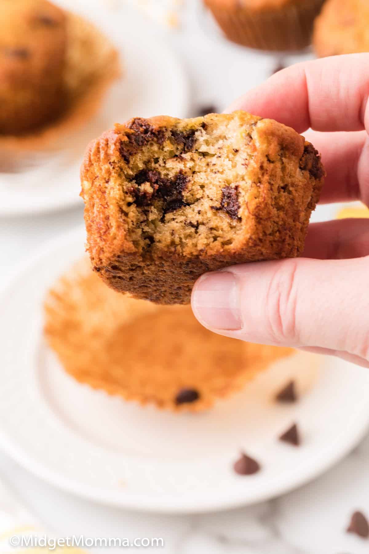 banana chocolate chip muffins