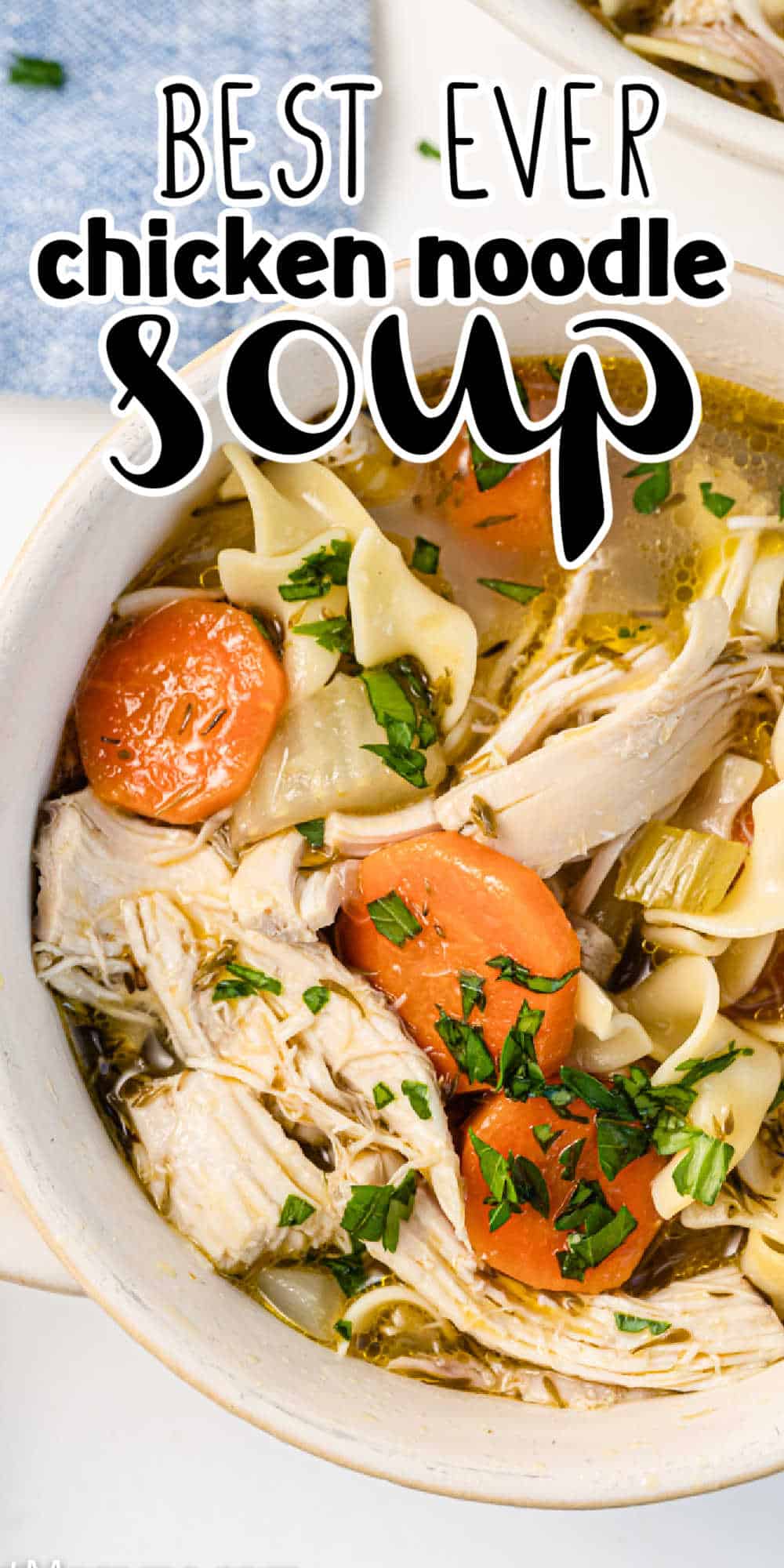 Homemade Chicken Noodle Soup Homemade Soup Recipe