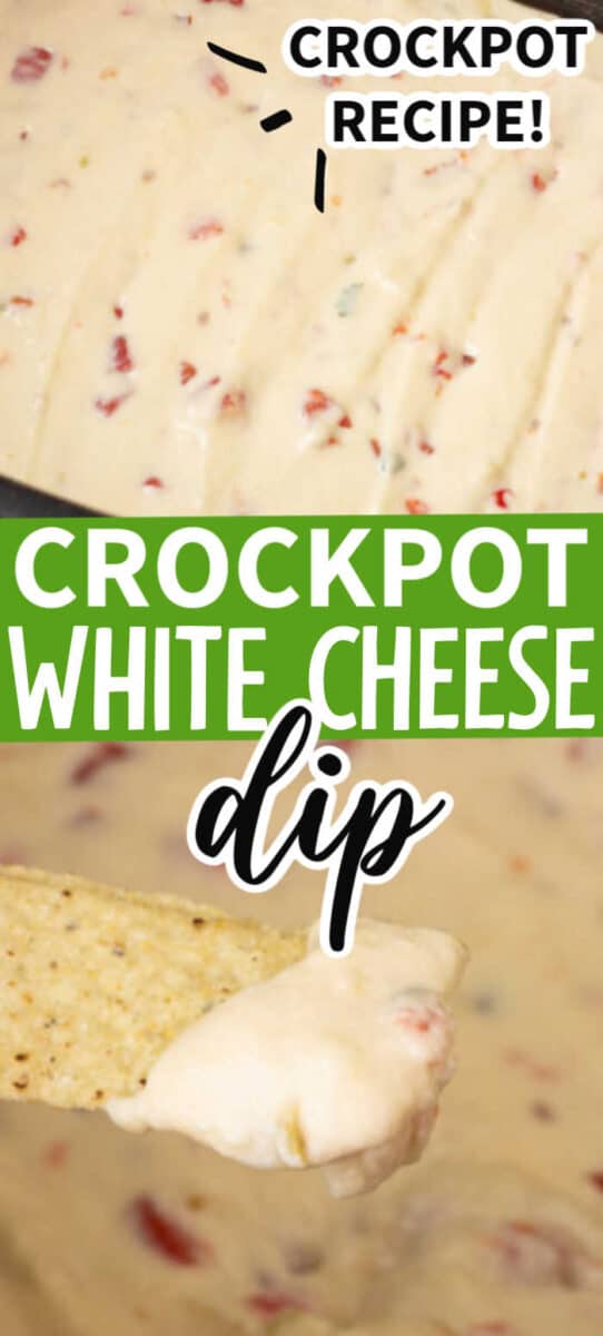 Crockpot Queso Cheese Dip Recipe - The Cookie Rookie®