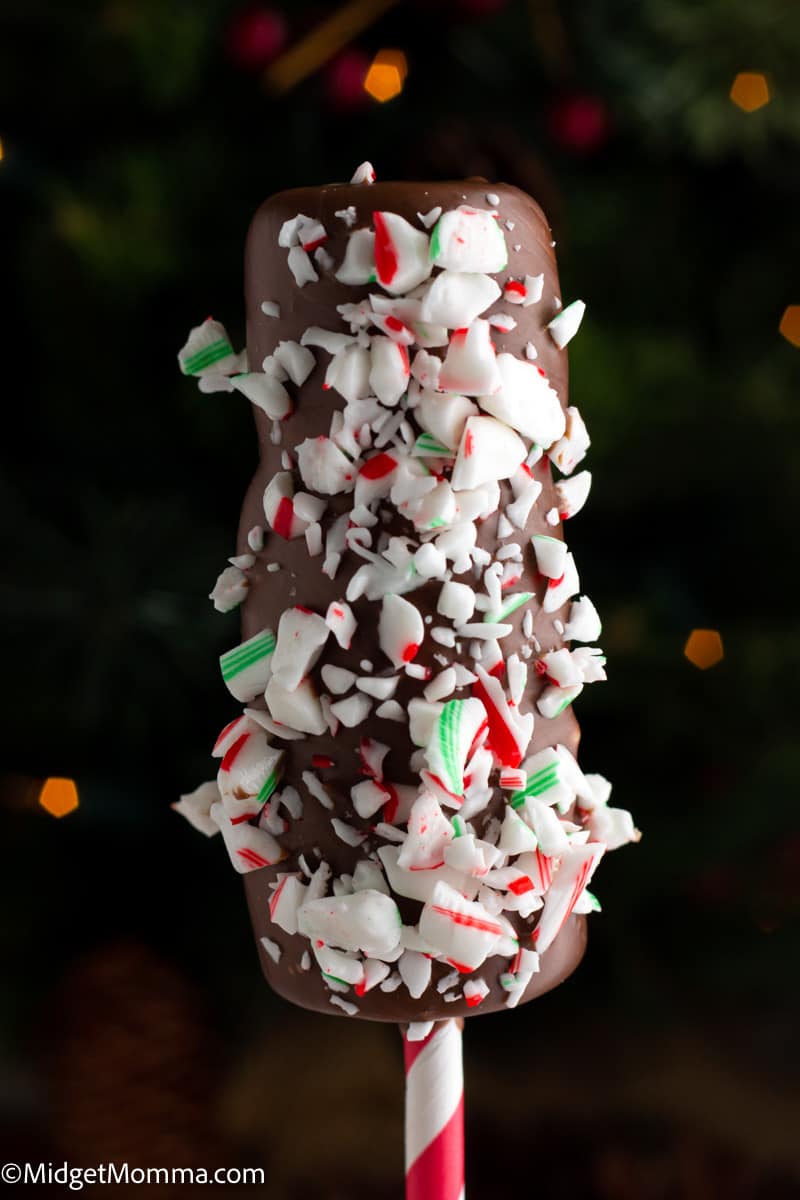 Peppermint Chocolate Covered Marshmallows Pops