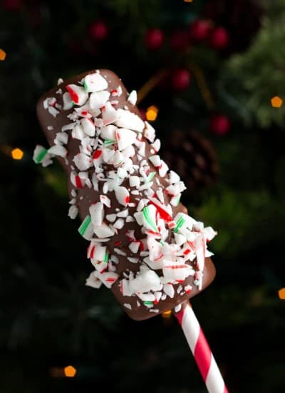 Peppermint Chocolate Covered Marshmallows Pops