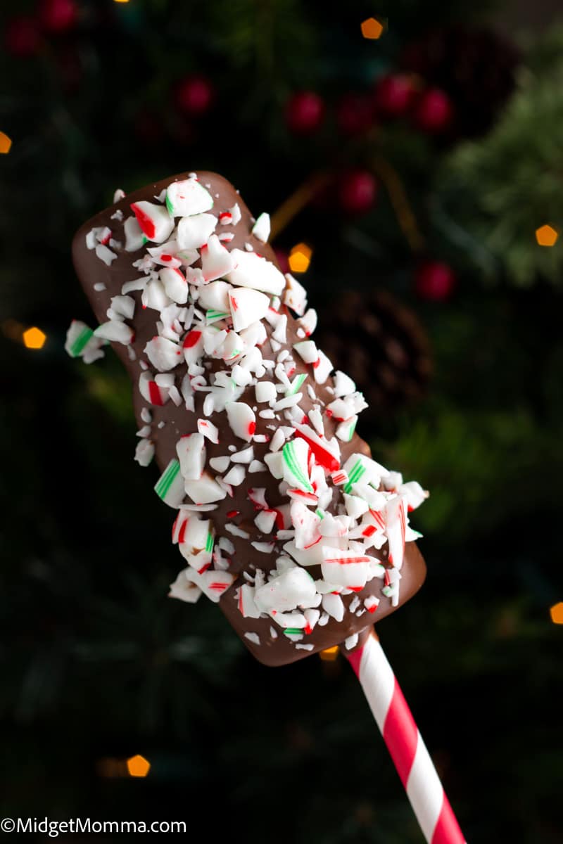 Peppermint Chocolate Covered Marshmallows Pops