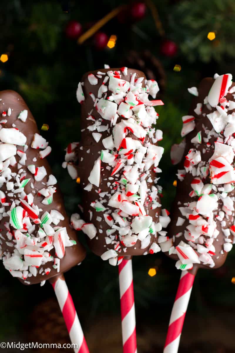 Peppermint Chocolate Covered Marshmallows Pops
