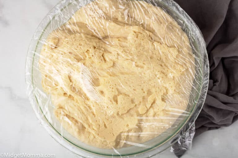 Homemade Pretzel Recipe Soft Pretzel Bites Auntie Anne's Copy Cat