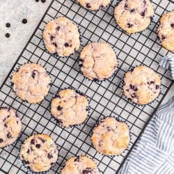 baked blueberry muffins cooling on a baking rack