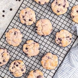 baked blueberry muffins cooling on a baking rack