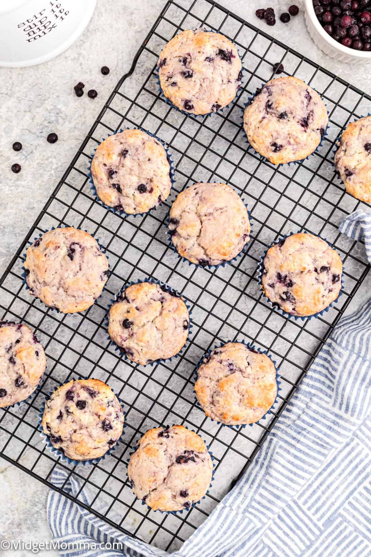 baked blueberry muffins cooling on a baking rack