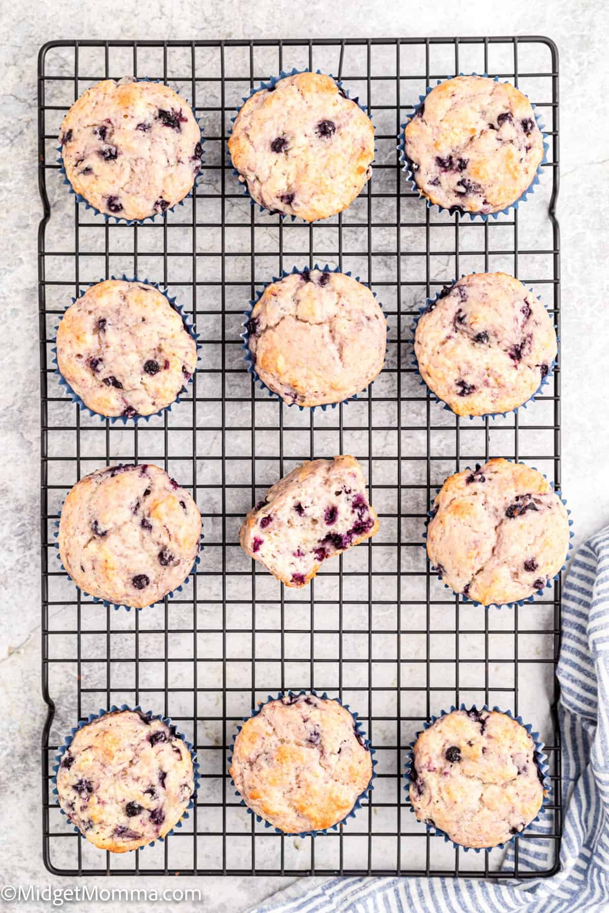 overhead photo of blueberry muffins on a cooling rack