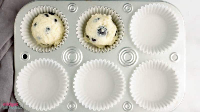Moist and Delicious Greek Yogurt Blueberry Muffins Moist and Delicious Greek Yogurt Blueberry Muffins