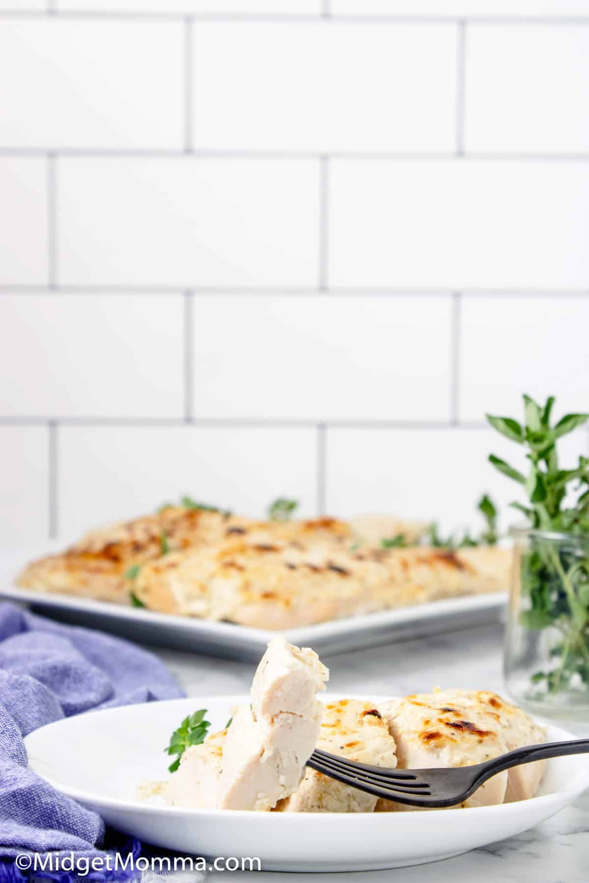 parmesan crusted chicken on a plate