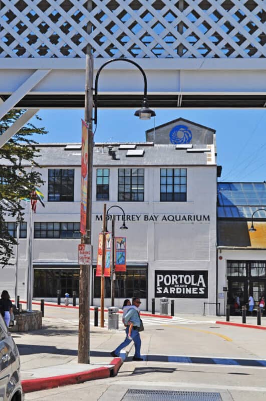 Virtual Aquarium Tours To Take with the Kids • MidgetMomma