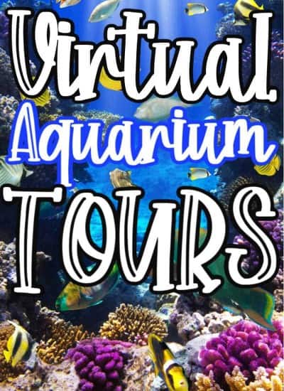 Virtual Aquarium Tours