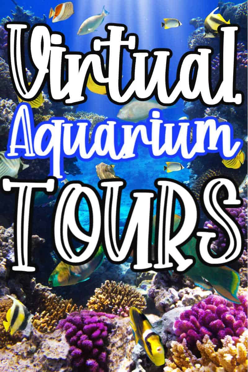 virtual aquarium tours free