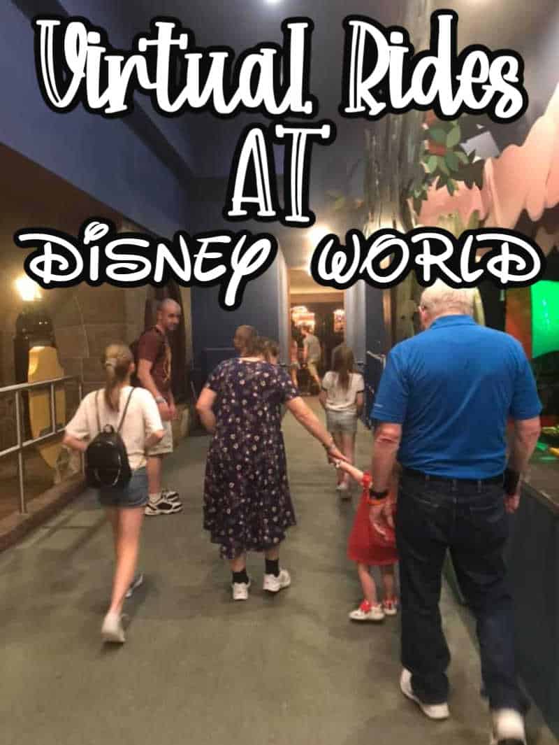Virtual Rides at Disney World