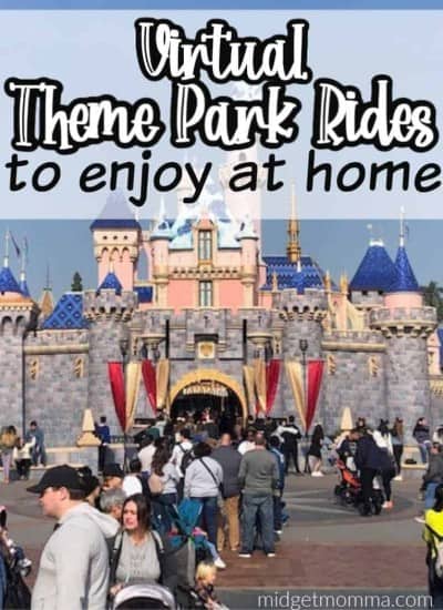 Virtual Theme park rides to enjoy at home