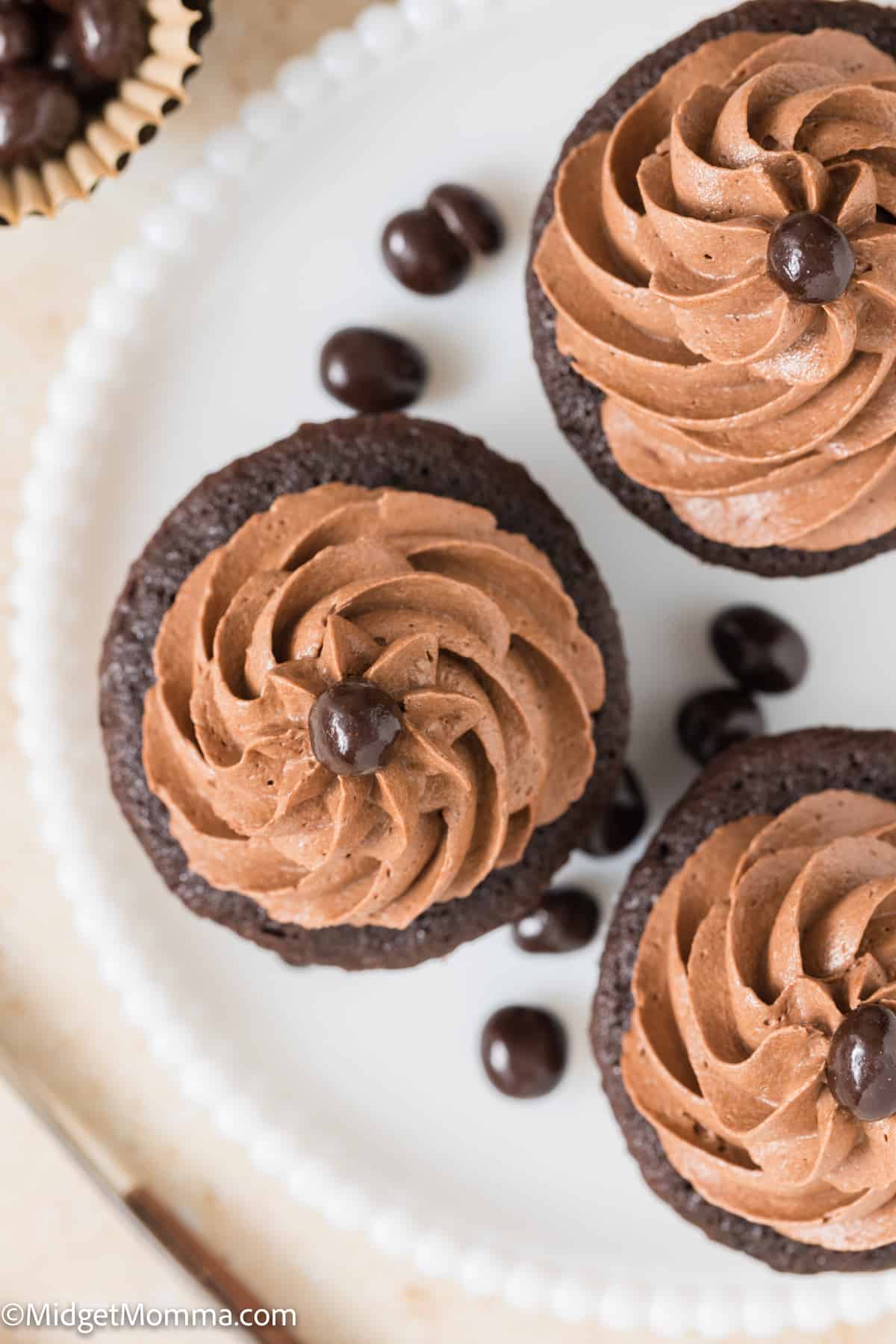 overhead photo of chocolate cupcakes topped with mocha buttercream frosting