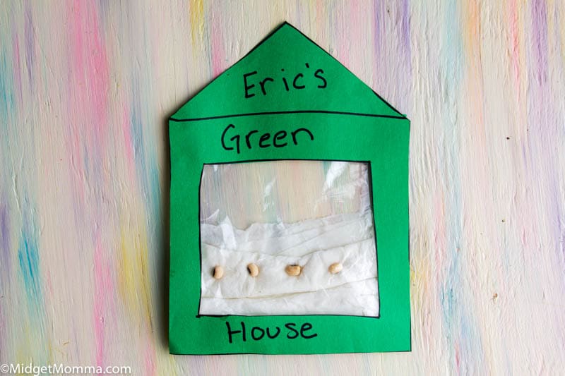 Sandwich Bag Green House with seeds in the bag