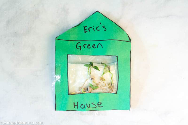 Sandwich Bag Green House