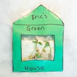 Sandwich Bag Green House