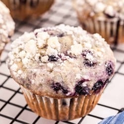 close up photo of Blueberry Streusel Muffins