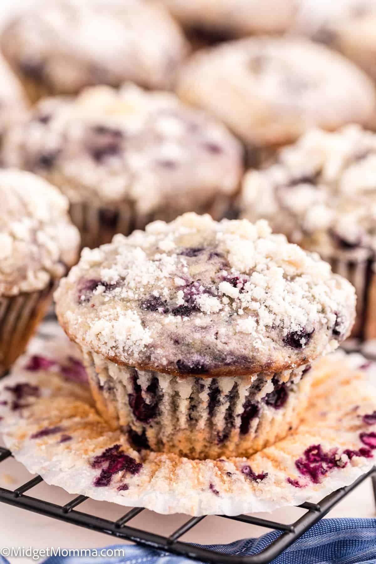 Blueberry Streusel Muffins Recipe