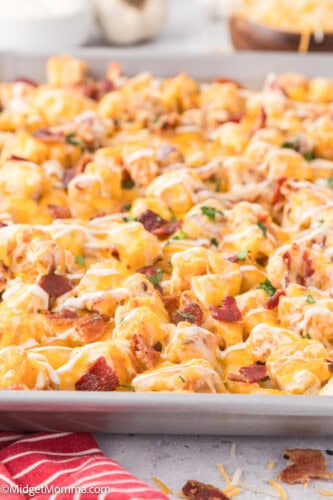 Cheesy Loaded Chicken Bacon Ranch Fries Recipe • MidgetMomma