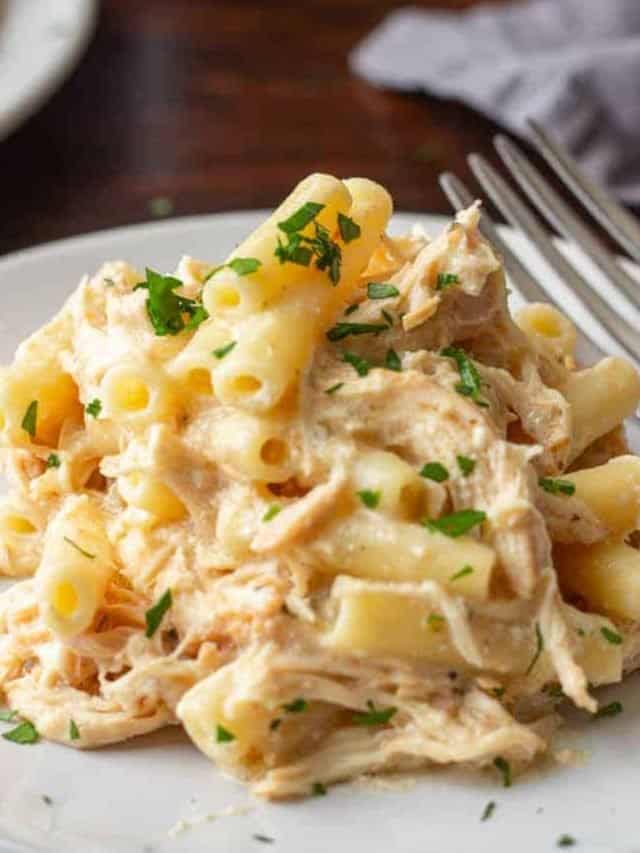 Olive Garden Chicken Pasta • MidgetMomma