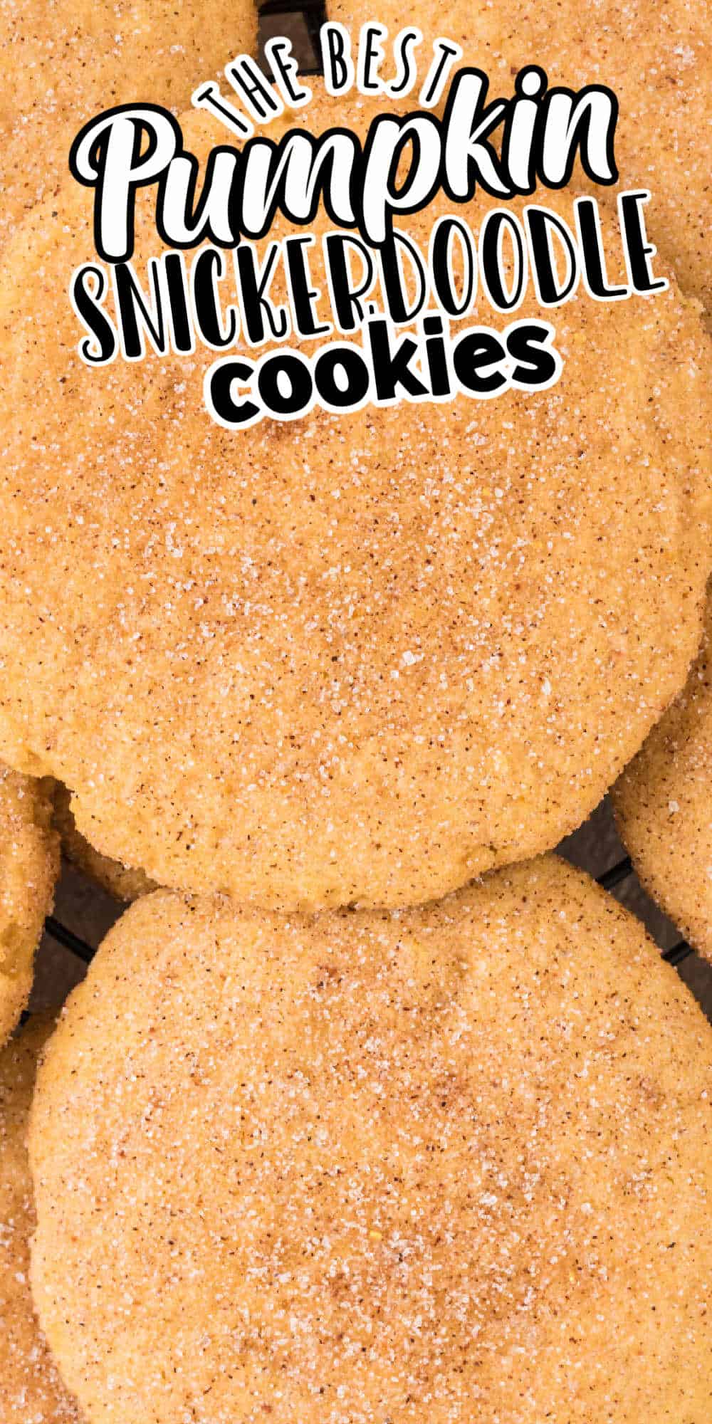 Soft and Chewy Pumpkin Snickerdoodle Cookies MidgetMomma