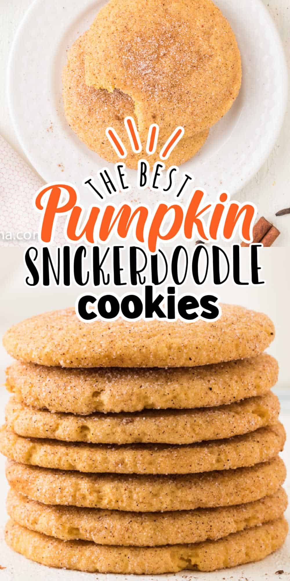 Soft and Chewy Pumpkin Snickerdoodle Cookies - MidgetMomma