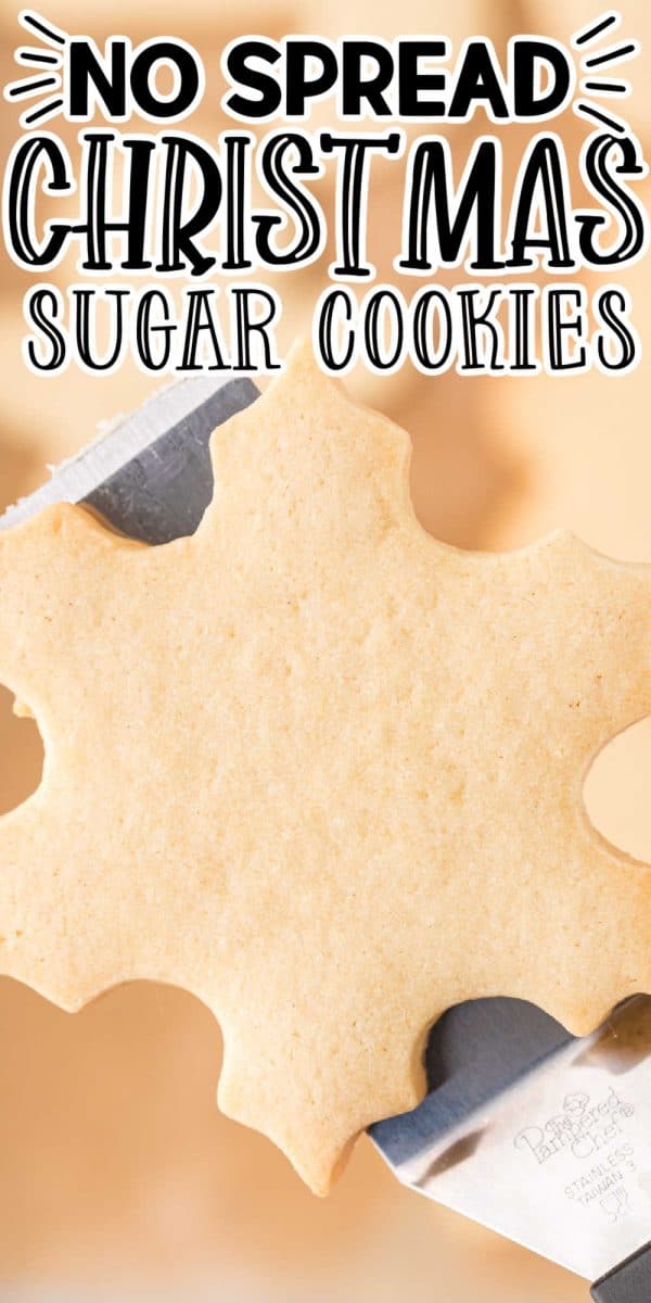 The Best No Spread Christmas Sugar Cookie Dough Recipe