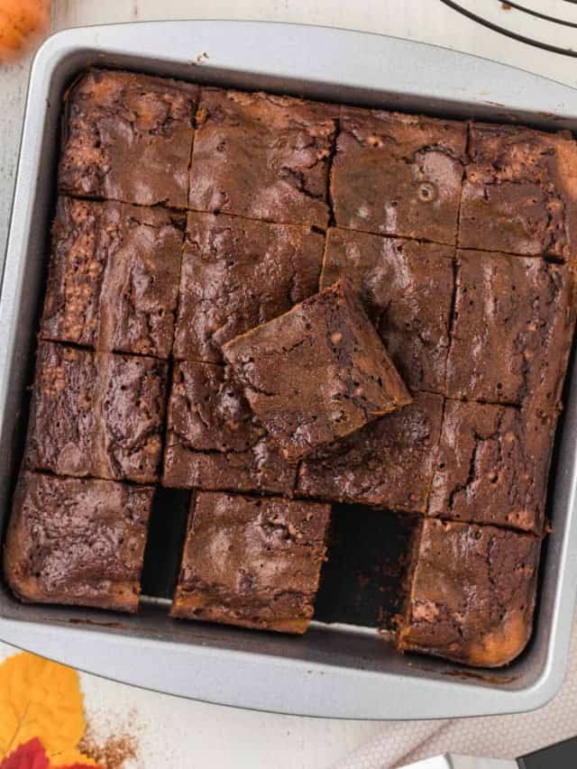Chocolate Pumpkin Brownies Recipe • MidgetMomma