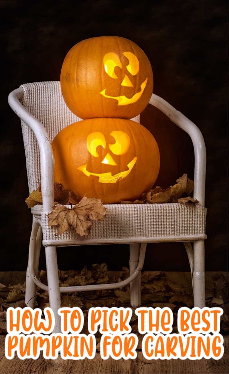 Brightly lit pumpkins sitting on chair surrounded by fallen leaves