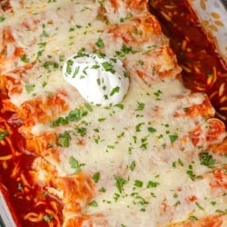 Baked Chicken Enchiladas close up