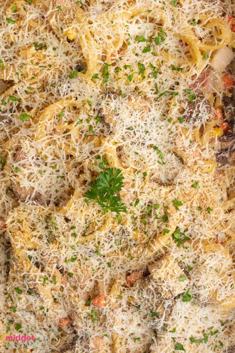 Turkey Tetrazzini