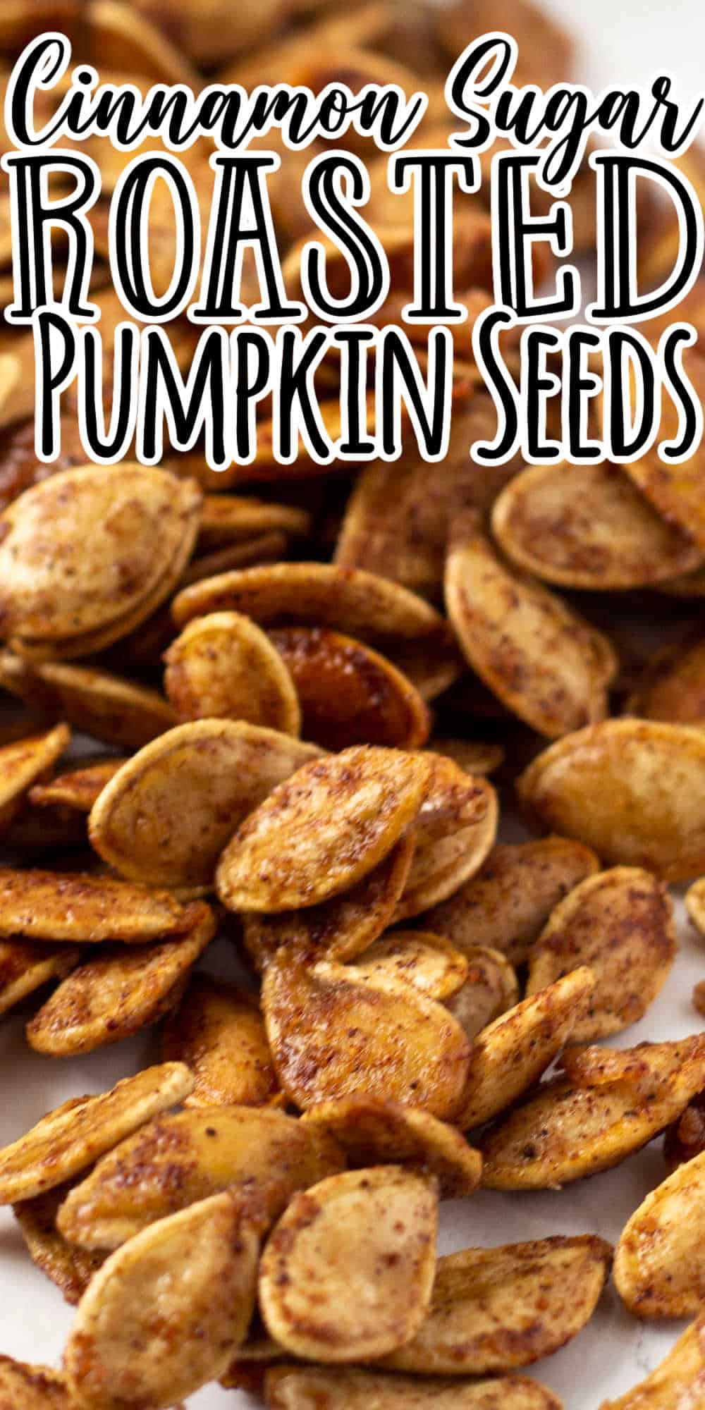 Cinnamon Sugar Pumpkin Seeds • MidgetMomma