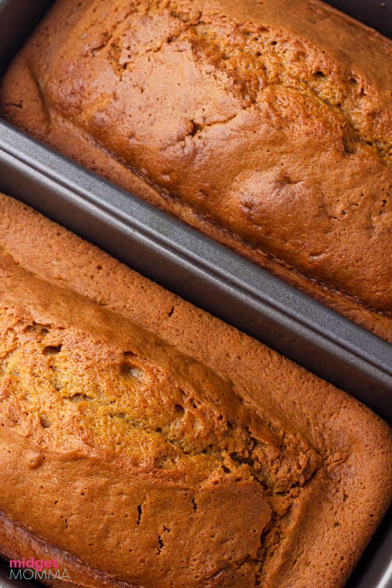 pumpkin bread Recipe