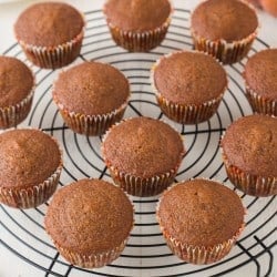 The Best Pumpkin Muffins Recipe