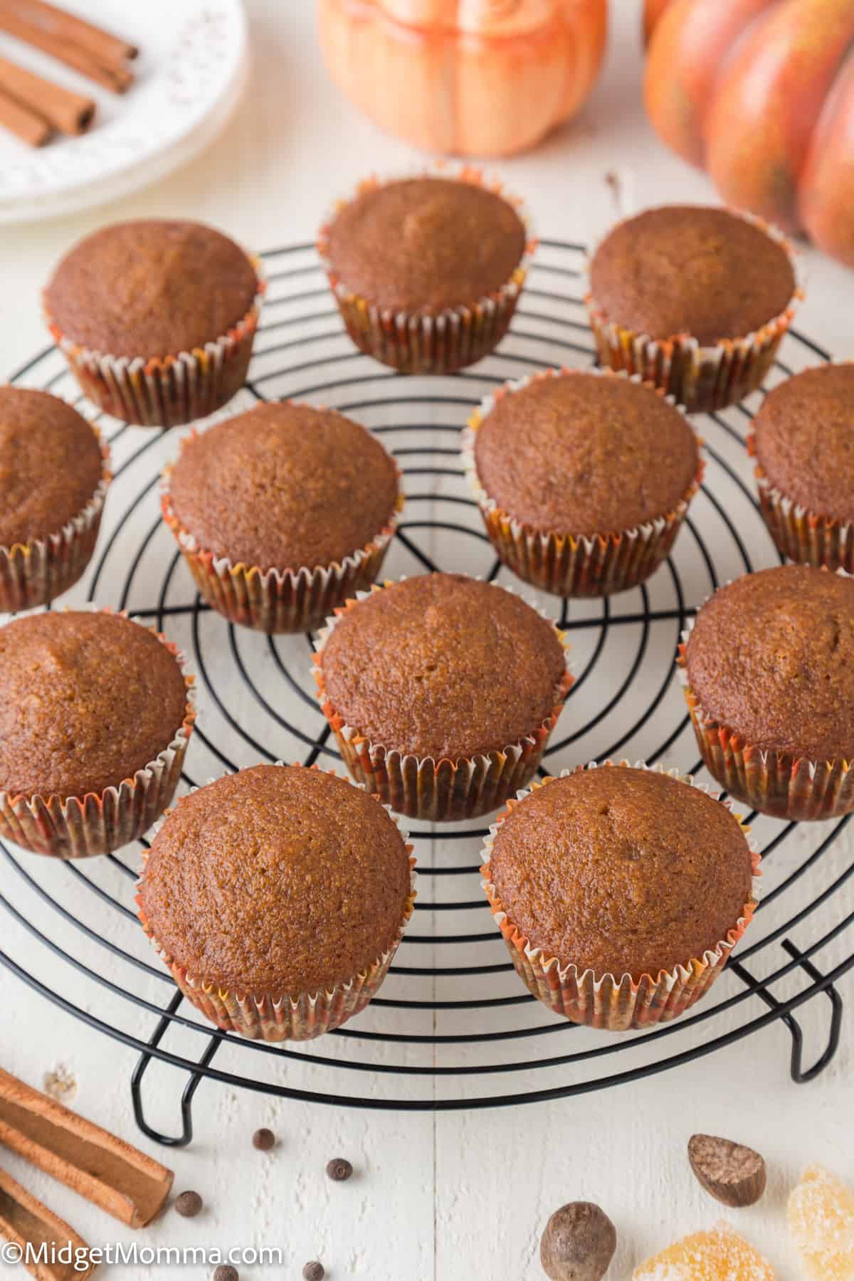 The Best Pumpkin Muffins Recipe