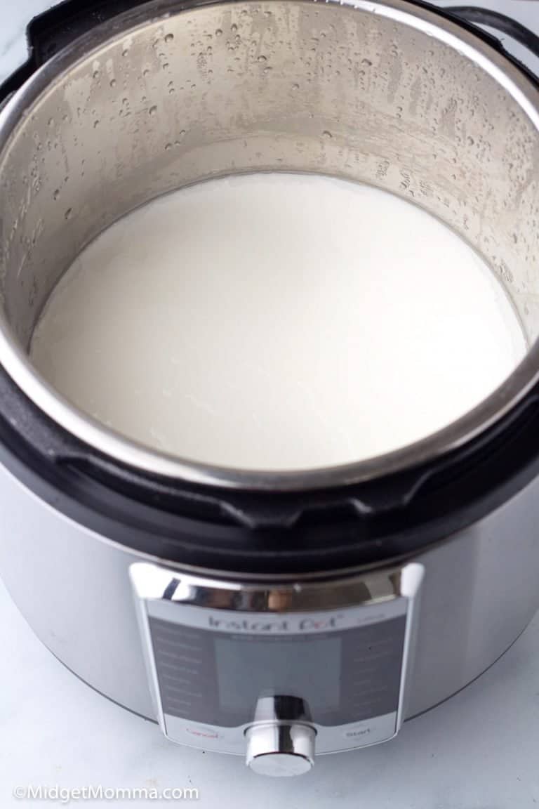 How to Make Instant Pot Yogurt (Easy Homemade Yogurt) • MidgetMomma