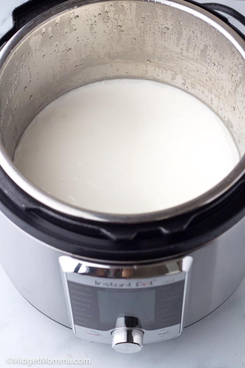 How to Make Instant Pot Yogurt