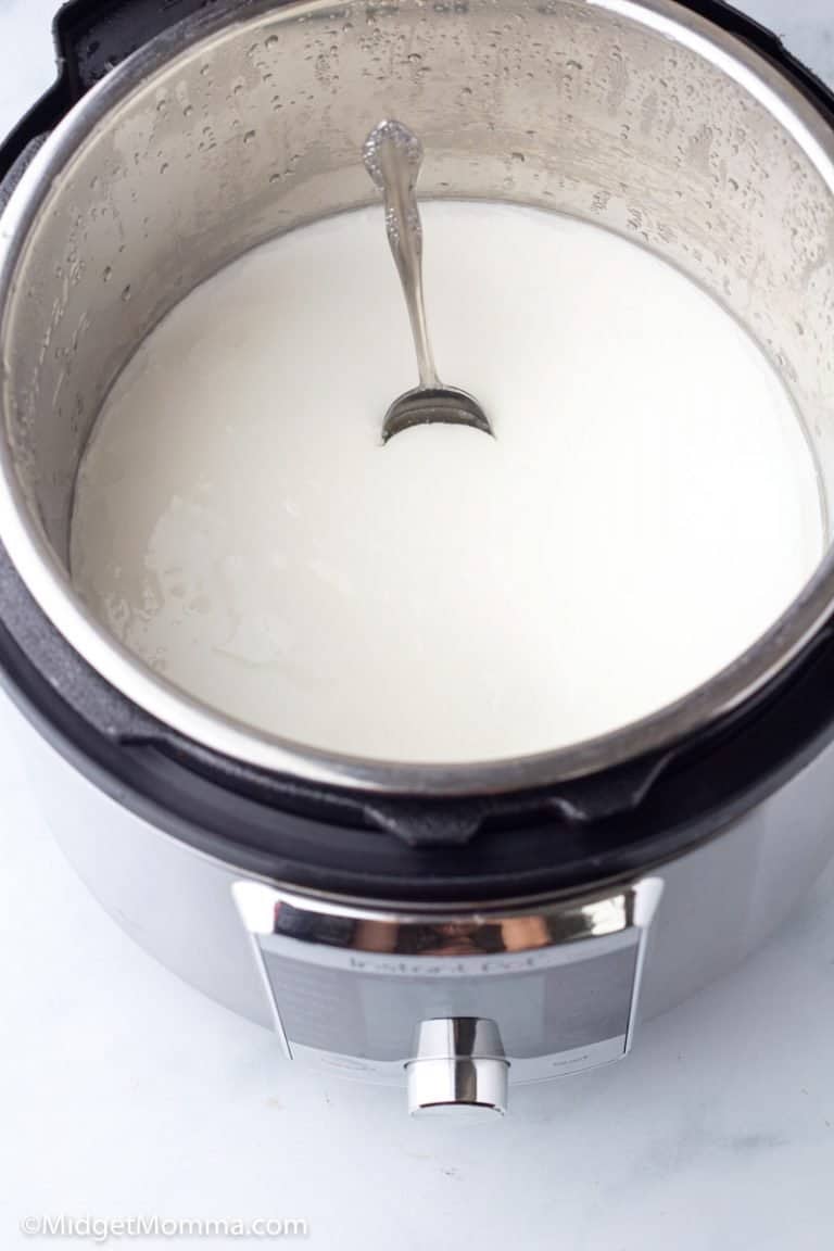 How to Make Instant Pot Yogurt (Easy Homemade Yogurt) • MidgetMomma