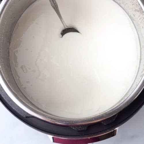 How to Make Instant Pot Yogurt (Easy Homemade Yogurt) • MidgetMomma