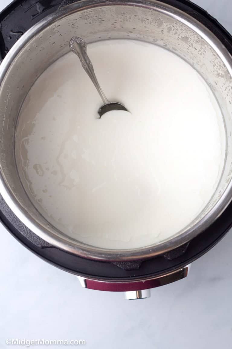 How to Make Instant Pot Yogurt (Easy Homemade Yogurt) • MidgetMomma