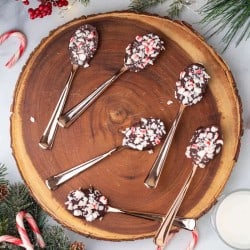 Hot Chocolate Spoons