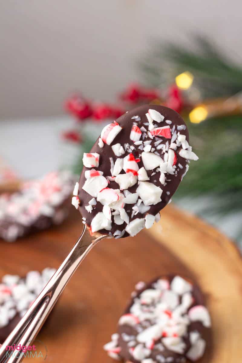 Hot Chocolate Spoons